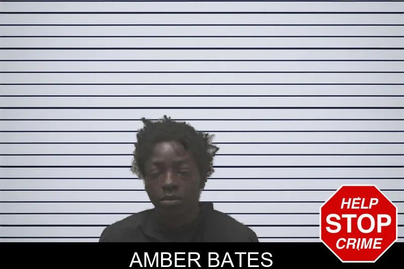 Amber Bates mugshot