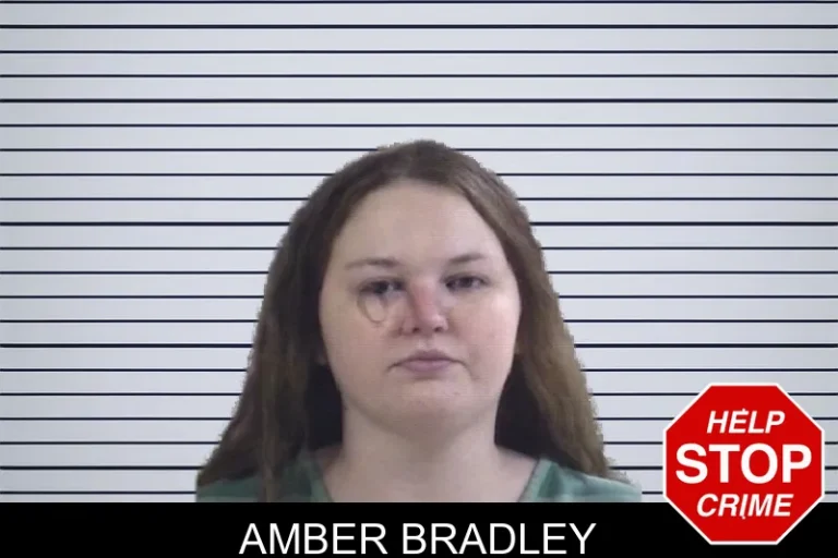 Amber Bradley mugshot – Whitfield County , Georgia Amber Bradley