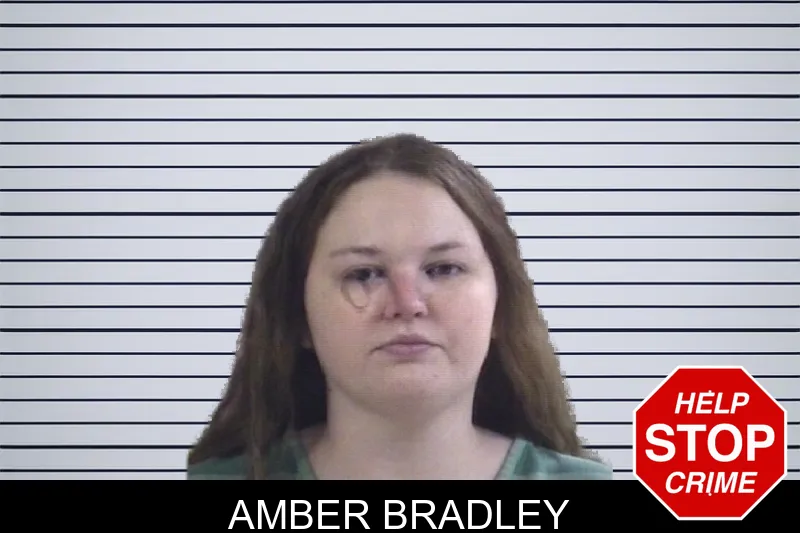 Amber Bradley mugshot – Whitfield County , Georgia Amber Bradley mugshot