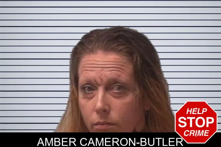 Amber Cameron-Butler mugshot – Franklin County , Georgia Amber Cameron-Butler