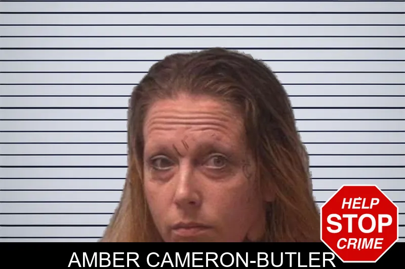 Amber Cameron-Butler mugshot