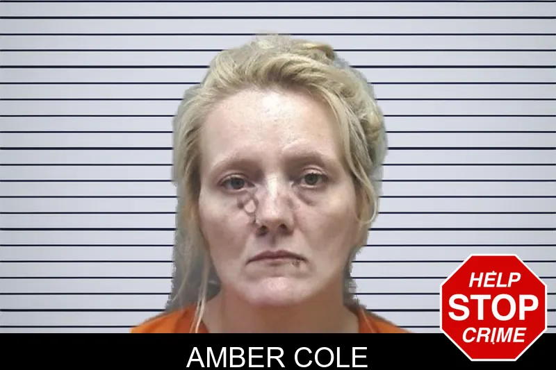 Amber Cole mugshot