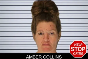 Amber Collins mugshot