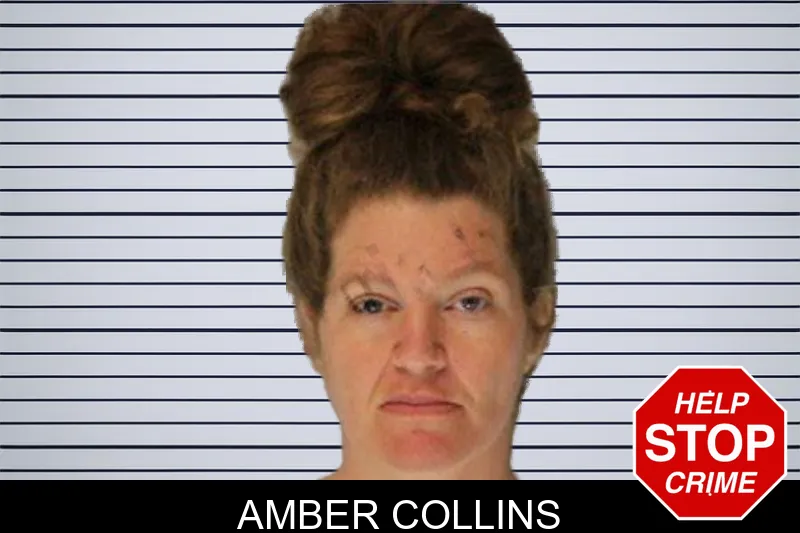Amber Collins mugshot