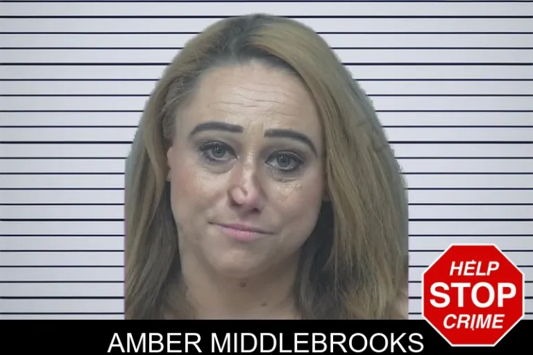 Amber Middlebrooks mugshot – Gwinnett County , Georgia Amber Middlebrooks