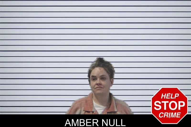 Amber Null mugshot