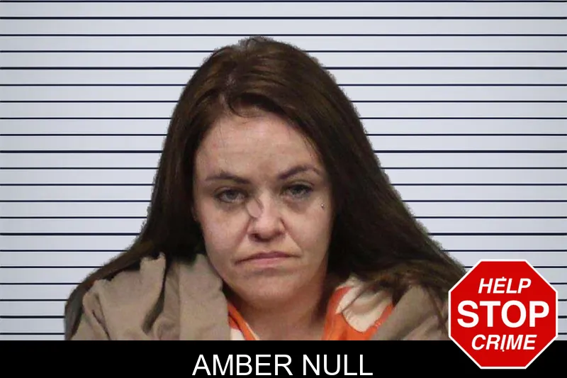 Amber Null mugshot