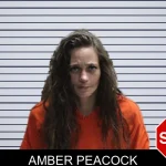 Amber Peacock mugshot