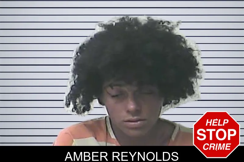 Amber Reynolds mugshot – Oconee County , Georgia Amber Reynolds mugshot