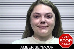 Amber Seymour mugshot