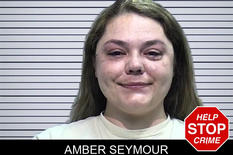 Amber Seymour mugshot