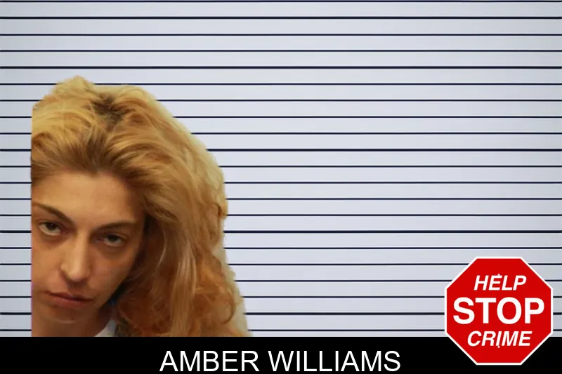 Amber Williams mugshot – Chatham County , Georgia Amber Williams mugshot