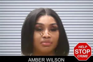 Amber Wilson mugshot