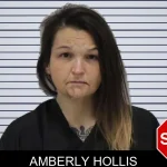 Amberly Hollis mugshot