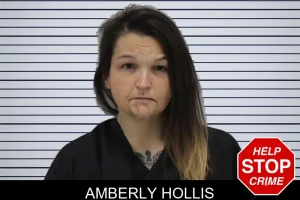 Amberly Hollis mugshot