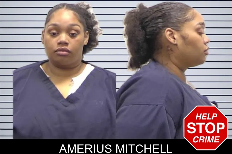 Amerius Mitchell mugshot
