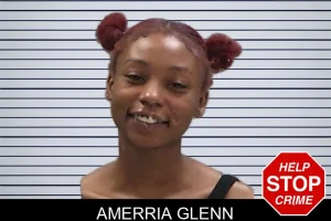 Amerria Glenn mugshot