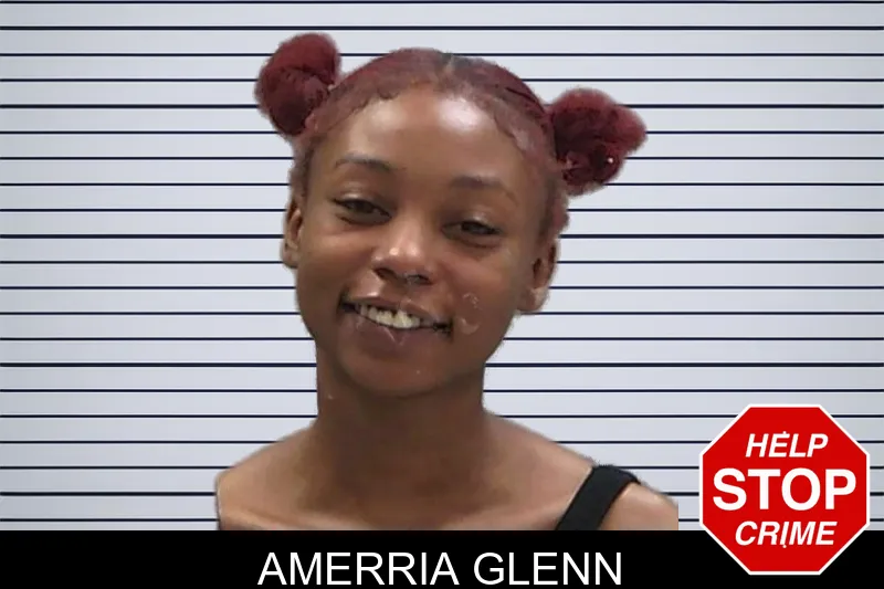 Amerria Glenn mugshot – Baldwin County , Georgia Amerria Glenn mugshot