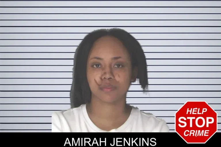 Amirah Jenkins mugshot – Douglas County , Georgia Amirah Jenkins