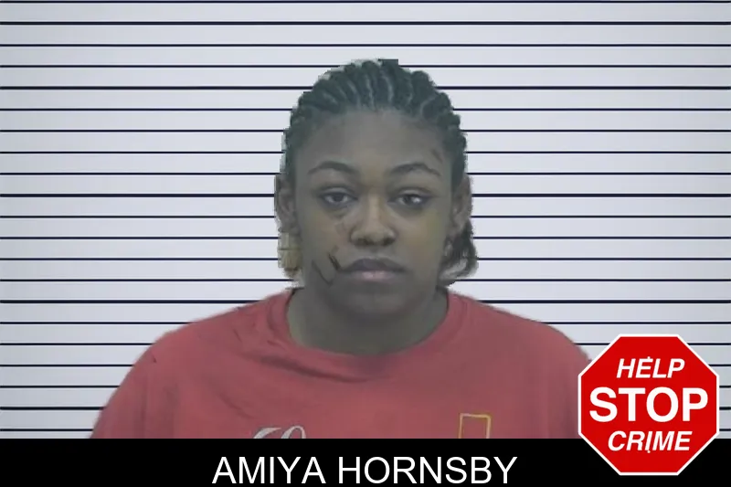 Amiya Hornsby mugshot – Coffee County , Georgia Amiya Hornsby mugshot