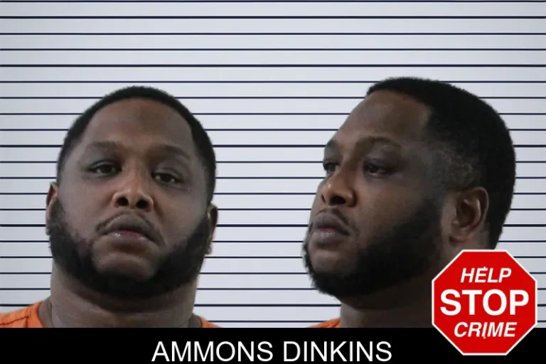 Ammons Dinkins