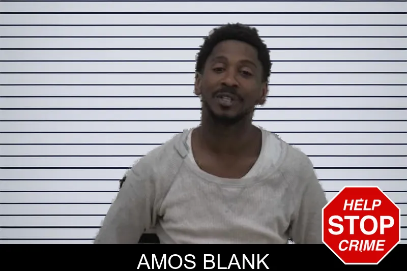 Amos Blank mugshot – Coffee County , Georgia Amos Blank mugshot