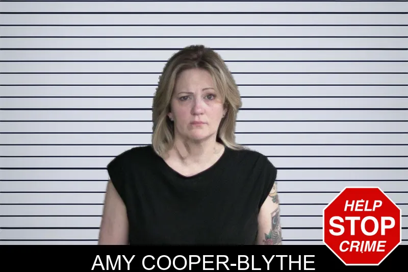 Amy Cooper-Blythe mugshot – Twiggs County , Georgia Amy Cooper-Blythe mugshot