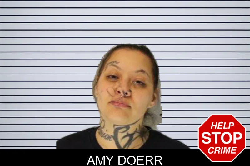 Amy Doerr mugshot