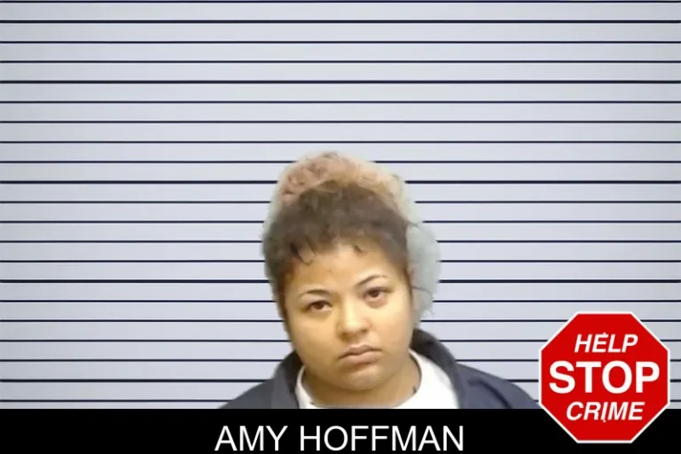 Amy Hoffman mugshot – Fulton County , Georgia Amy Hoffman