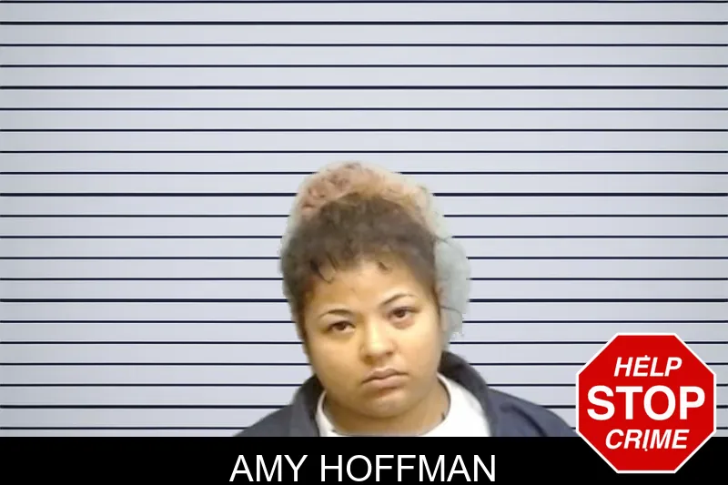 Amy Hoffman mugshot – Fulton County , Georgia Amy Hoffman mugshot