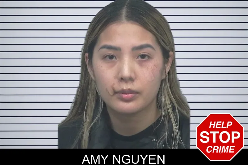 Amy Nguyen mugshot – Gwinnett County , Georgia Amy Nguyen mugshot