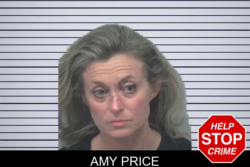 Amy Price mugshot