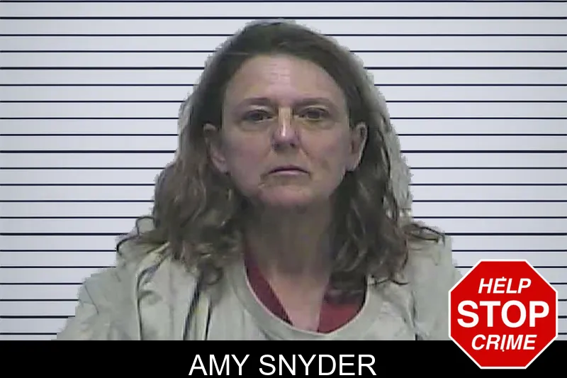 Amy Snyder mugshot