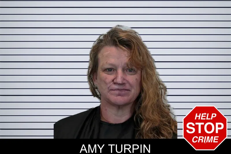 Amy Turpin mugshot – Hart County , Georgia Amy Turpin mugshot