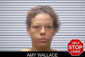 Amy Wallace mugshot