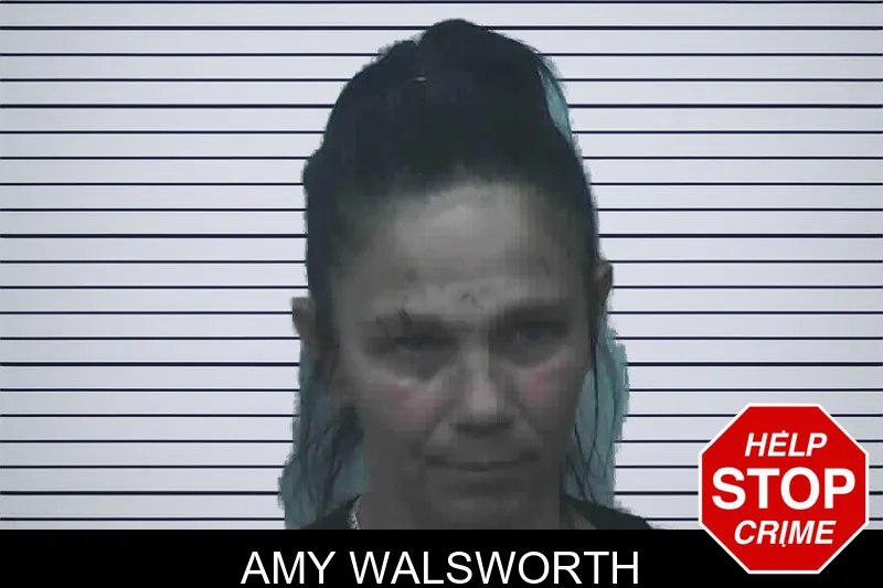 Amy Walsworth mugshot