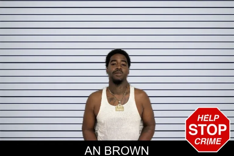 An Brown mugshot – Rockdale County , Georgia An Brown
