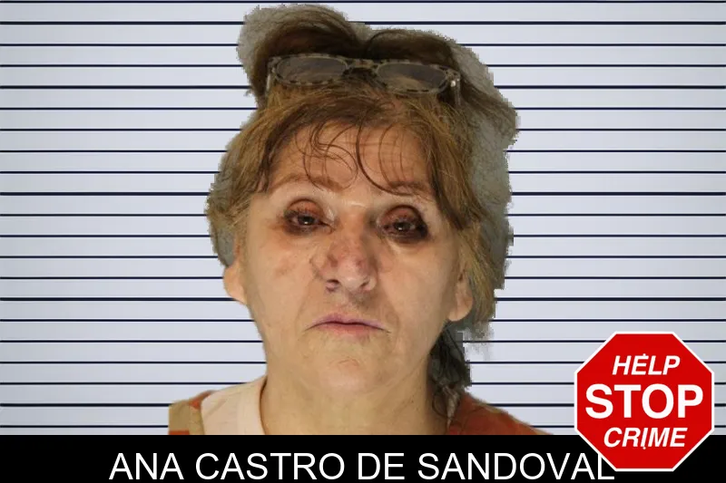 Ana Castro De Sandoval mugshot