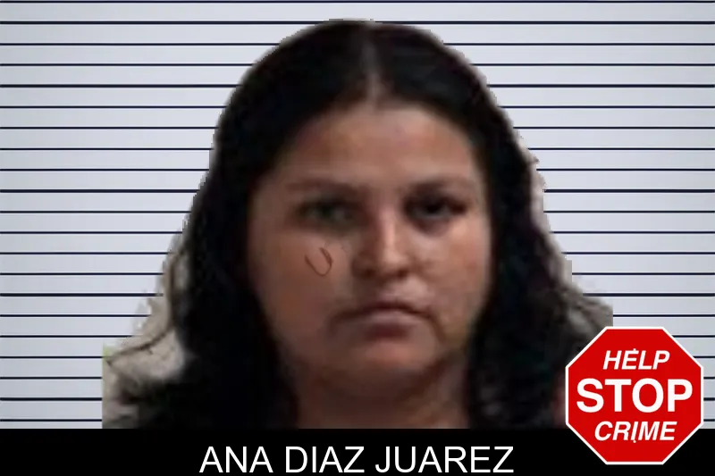 Ana Diaz Juarez mugshot