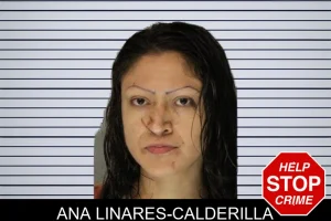 Ana Linares-Calderilla mugshot