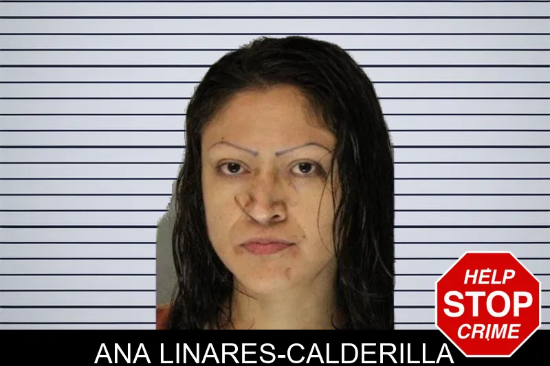 Ana Linares-Calderilla mugshot – Hall County , Georgia Ana Linares-Calderilla mugshot