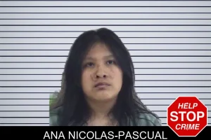 Ana Nicolas-Pascual mugshot