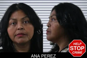 Ana Perez mugshot