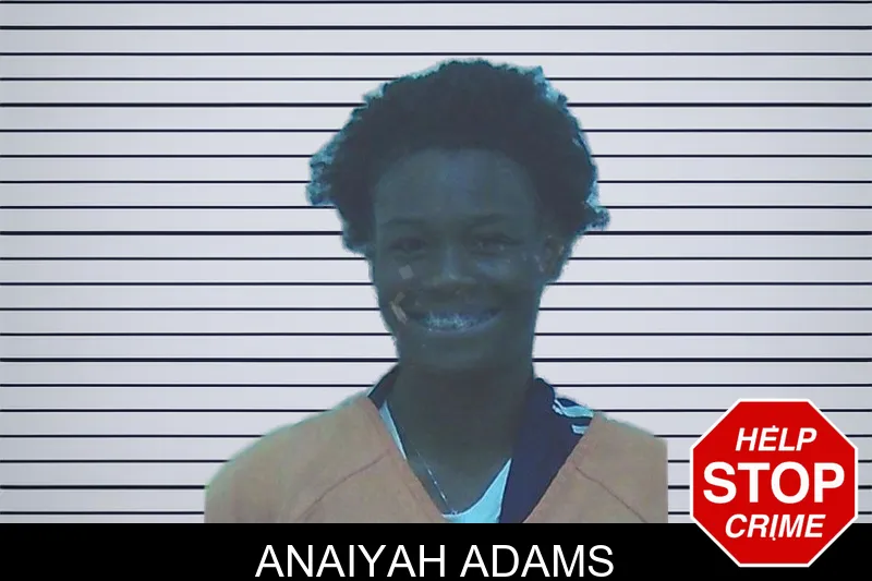 Anaiyah Adams mugshot – Worth County , Georgia Anaiyah Adams mugshot