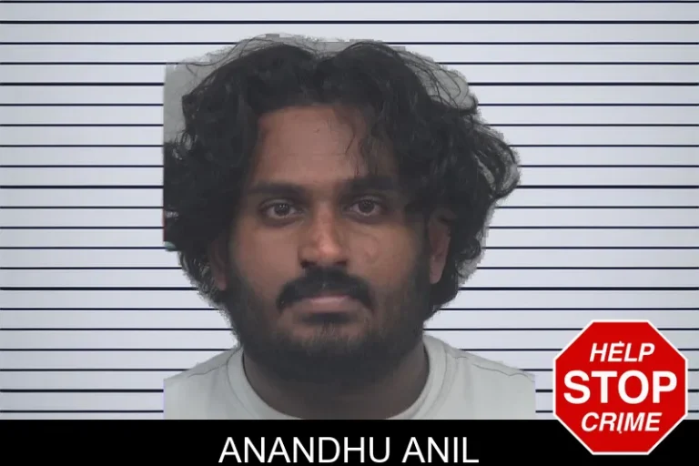 Anandhu Anil