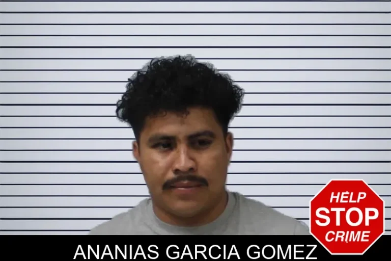 Ananias Garcia Gomez mugshot – Mcintosh County , Georgia Ananias Garcia Gomez