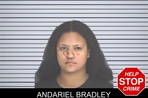 Andariel Bradley mugshot