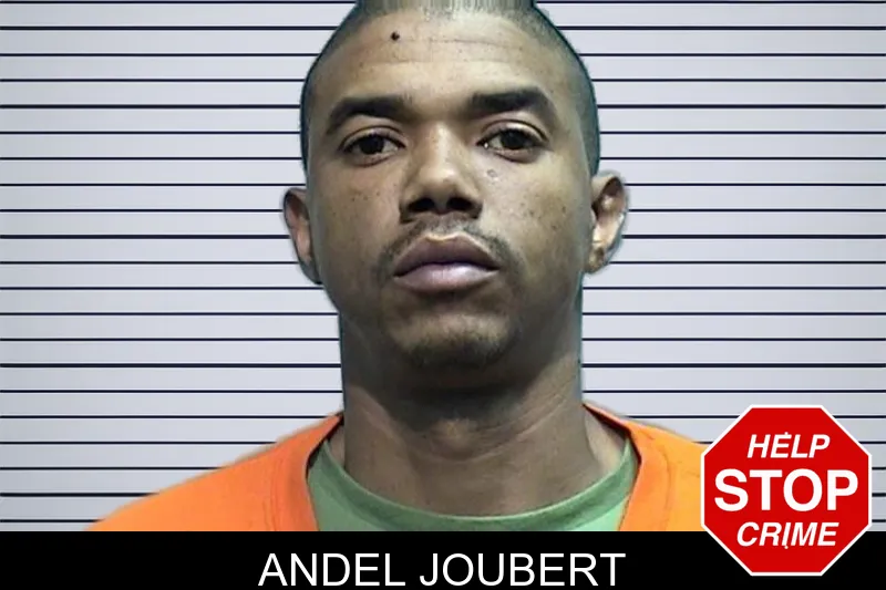 Andel Joubert mugshot