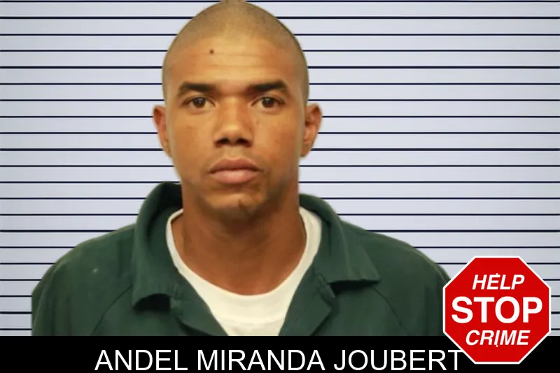 Andel Miranda Joubert mugshot