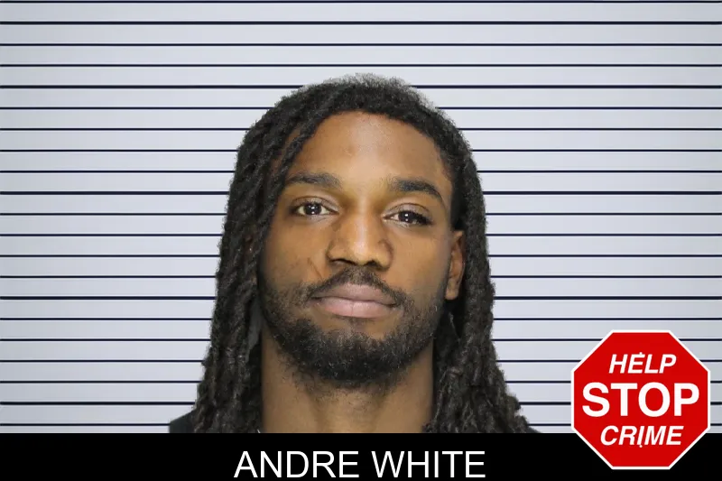 Andre White mugshot – Cobb County , Georgia Andre White mugshot